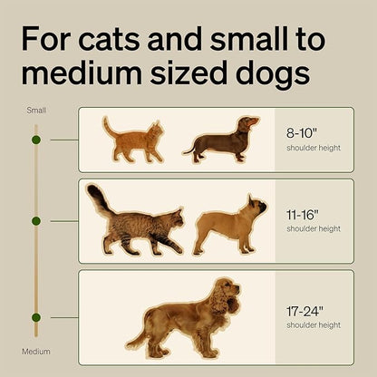 PETLIBRO Slow Feeder Bowl for Small Dogs & Cats, 1.125 Cup— Anti-Gulp Stainless Steel Dog & Cat Bowl, Helps Reduce Risk of Bloat, Dishwasher Safe — Compatible with PETLIBRO Camera Automatic Feeder