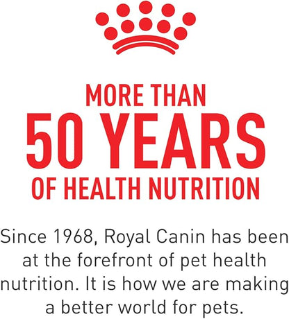 Royal Canin Breed Health Nutrition Dachshund Adult Loaf in Sauce Wet Dog Food, 3 oz can (24-Count)