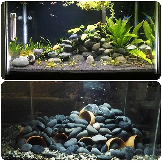 1-2 Inch Black Pebbles for Plants, 10 lbs River Rocks Decorative Black Stones, Ideal for Fish Tank, Vases, Crafting, Home Decor and Garden Landscaping Rocks