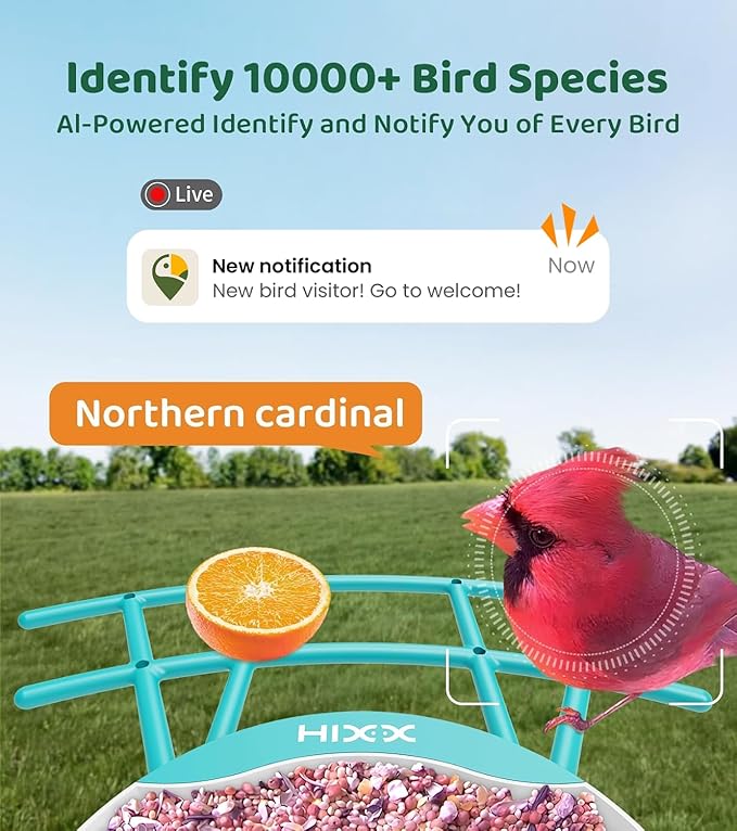 HIXX Smart Bird Feeder with Camera, AI Identify Birds & Auto Capture, 2K HD Live Camera Birdwatching with Color Night Vision for Bird Lovers Gifts (Blue)