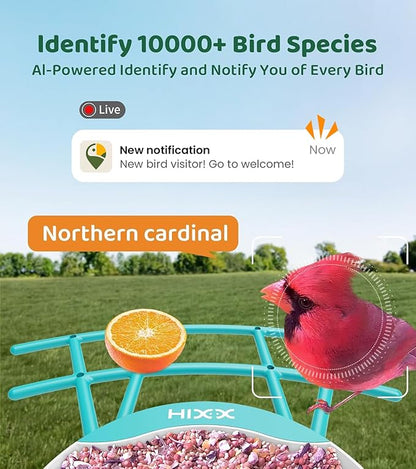 HIXX Smart Bird Feeder with Camera, AI Identify Birds & Auto Capture, 2K HD Live Camera Birdwatching with Color Night Vision for Bird Lovers Gifts (Blue)