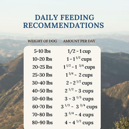 360 Pet Nutrition Freeze-Dried Raw Dog Food – Beef Recipe with Liver & Organs, High Protein with Omega-3s, Fruits, Veggies & Superfoods, Grain-Free, No Fillers, 5 oz – Made in USA