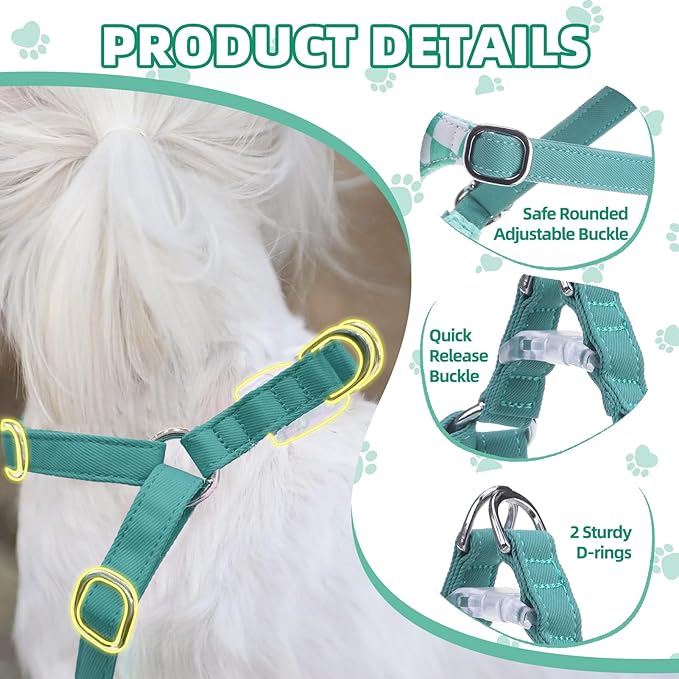 PUPTECK Dog Harness and Leash Set Small Sized, Step-in Cute Puppy Harness, Soft Lightweight Padded Vest, Escape Proof No Pull Pet Harnesses Easy for Walking, Plaid Green & White, XXS