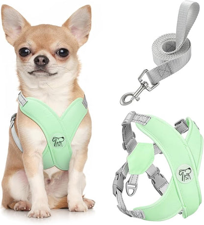 Pawaboo Small Dog Harness and Leash Set, Puppy Harness X-Frame No Pull No Choke, Dog Vest Harness Adjustable for Small Medium Sized Dogs, Soft Breathable Pet Harness for Walking Outing, S, Mint Green