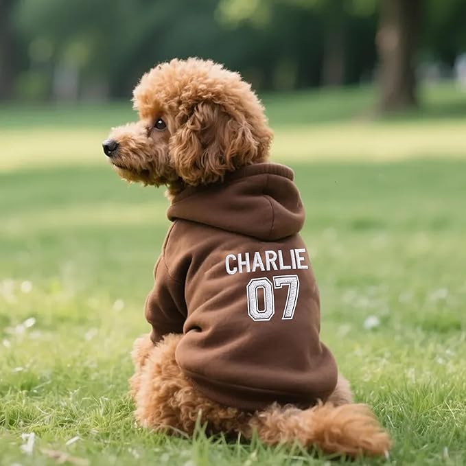 Personalized Name Dog Hoodie, Embroidered Puppy Sweater with Name and Number, Customized Pet Clothes Warm Winter Outfit for Dogs, Bright Puppy Sweatshirt, Pet Birthday Outfit, Dog Lovers Gifts