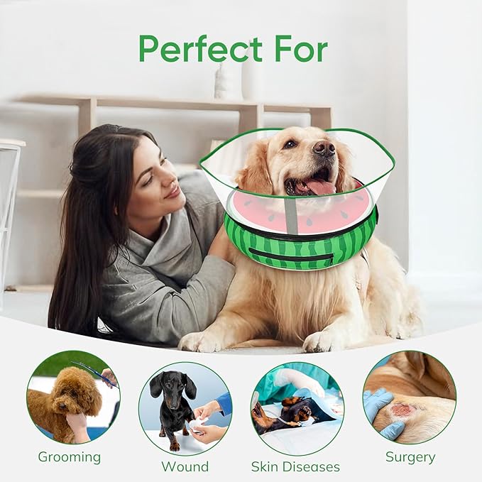 Raised Inflatable Dog Cone After Surgery - Adjustable Recovery Donut Collar with Neck Strap and Removable Anti-Licking Shield - Soft Dog Cone Alternative for Small Medium Large Dogs (Watermelon,XXL)