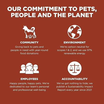 Go! Solutions Skin + Coat Care, Dry Dog Food, Large Breed Adult Salmon Recipe with Grains, 12 lb Bag