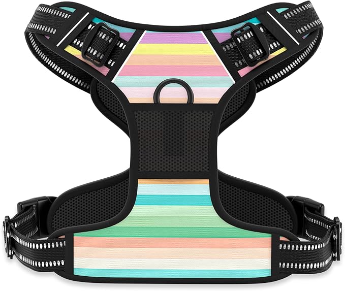 Rnivvi No Pull Dog Harness, Cute Reflective Extra Small Sized Puppy Harness, Adjustable Soft Padded Vest for Small Dogs, Cats, Heavy Duty Pet Vest with Easy Control Handle for Walking, Watercolor