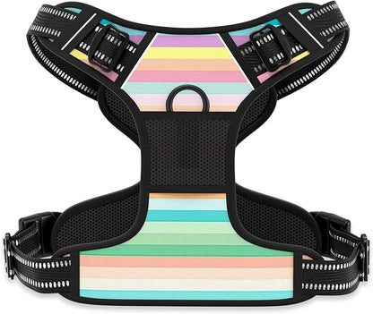 Rnivvi No Pull Dog Harness, Cute Reflective Extra Small Sized Puppy Harness, Adjustable Soft Padded Vest for Small Dogs, Cats, Heavy Duty Pet Vest with Easy Control Handle for Walking, Watercolor