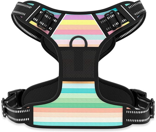 Rnivvi No Pull Dog Harness, Cute Reflective Extra Small Sized Puppy Harness, Adjustable Soft Padded Vest for Small Dogs, Cats, Heavy Duty Pet Vest with Easy Control Handle for Walking, Watercolor