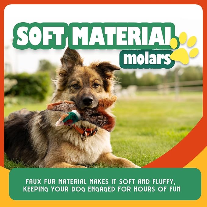 ALL FOR PAWS Dog Interactive Pheasant Toys, Squeaky Dog Toys, Stuffed Animal Dog Hunting Plush Toy, Large