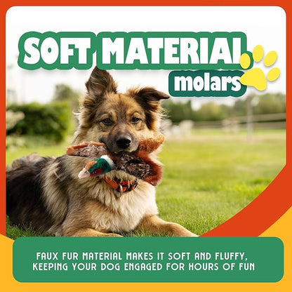 ALL FOR PAWS Dog Interactive Pheasant Toys, Squeaky Dog Toys, Stuffed Animal Dog Hunting Plush Toy, Large