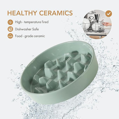 Ceramic 3.2 Cup Raised Slow Feeder Dog Bowl Set, Elevated 8.2inch Bowl and 9.5inch Slow Pet Food Dish with Wooden Stand for Large Dog (2 x Light Green+ Stand)