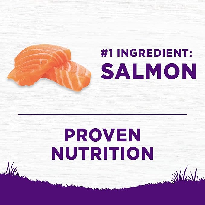 Wellness Complete Health Sensitive Skin & Stomach Dry Dog Food, Wholesome Grains, Salmon & Rice Recipe, (38-Pound Bag)