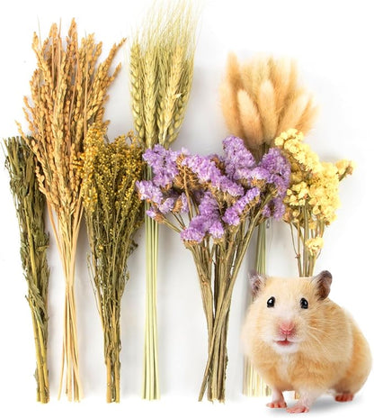Sukh 60Pcs Nature Flower Herb Hamster Bedding - Cage Enclosure Habitat Decor Mate Small Animal Natural Ear of Grain Sprays for Syrian Dwarf Hamsters Gerbils Rabbit Other Pets
