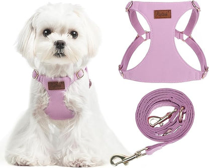 PUPTECK Dog Harness and Leash Set Small Sized, Step-in Cute Puppy Harness, Soft Lightweight Padded Vest, Escape Proof No Pull Pet Harnesses Easy for Walking, Purple, XS