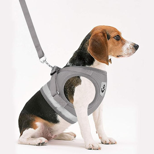 Cat Harnesses and Puppy Harness with Leashes Set, Escape Proof Cat Harness, Adjustable Reflective Soft Mesh Vest Fit Puppy Kitten Rabbit Ferrets's Outdoor Harness(greyXL)