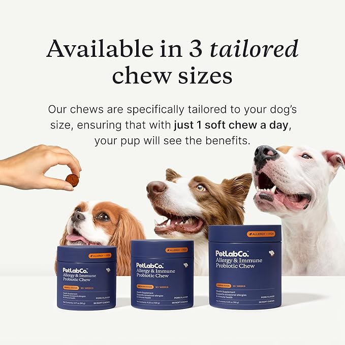 PetLab Co. Allergy & Immune Daily Probiotics for Dogs. Supports Yeast Production, Seasonal Allergies, Intermittent Itchiness, Gut & Digestive Health for Large Dogs - 30 Chews - Packaging May Vary