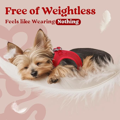 rabbitgoo Small Dog Harness, Step-in Soft Mesh Puppy Vest with Safety Buckle, Breathable Reflective Pet Harness for Extra Small Dogs, Red XXS