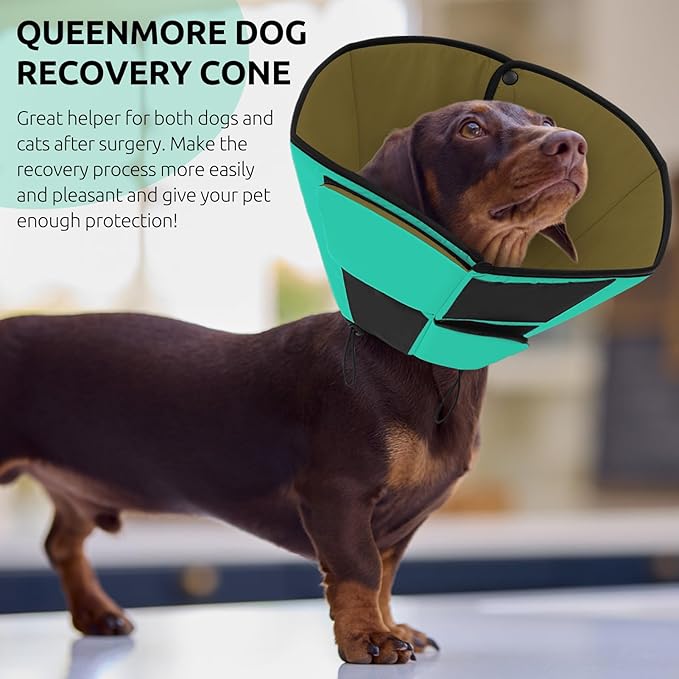 Queenmore Soft Cone for Dogs After Surgery, Dog Cones for Large Dogs to Stop Licking, Soft Dog Cone, Elizabethan Collar for Pets, Alternative Pet Recovery Collar for Wound Healing, Green L