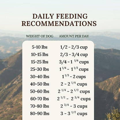 360 Pet Nutrition Freeze-Dried Raw Dog Food – Multi-Protein with Beef, Chicken, Fish, Liver & Organs, High Protein, Omega-3s, Fruits, Veggies & Superfoods, Grain-Free, No Fillers, 5 oz – Made in USA