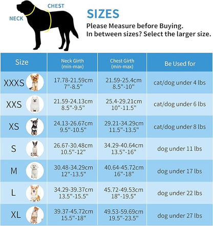 AIITLE Small Harness for Puppy with A Leash - Summer Dog Vest Harness with Super Breathable Mesh, Reflective No-Pull Pet Harness for Outdoor Walking, Camping for Small Dogs, Cats Pink XXS