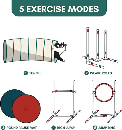ALBERT & MIA CATGILITY Cat Agility Equipment + Clicker Trainer Guide – Exercise Agility Course – Jumping Hurdles & Hoop, Tunnel (Small Dog & Cat Training) Clicker Training Obstacle Course for Cats