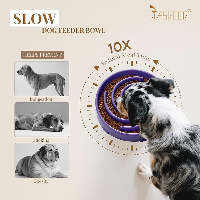 JASGOOD Slow Feeder Bowl for Large Dogs, Anti-Gulping Pet Bowl, Prevents Bloat & Choking