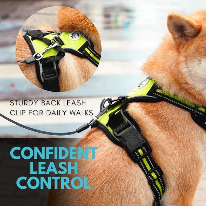 Ziggy Pet Dog Harness Adjustable Nylon Mesh Vest with Leash Clips (Green, Large)