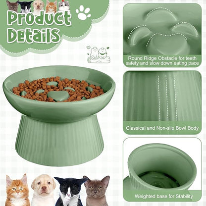 Tioncy 2 Pcs Raised Cat Slow Feeder Bowl Ceramic Elevated Cat Dog Food Bowl No Spill High Edge for Dry Wet Food and Water Easy to Clean, Dishwasher Safe(Sage Green)