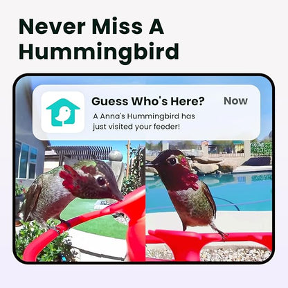 Birdfy Hummingbird Feeder with Dual Cameras AI Identify - 2K HD Smart Cameras, Close-Up Bird Video/Live Watching & Instant Notifications, Ant Moat & Leakproof - 20oz