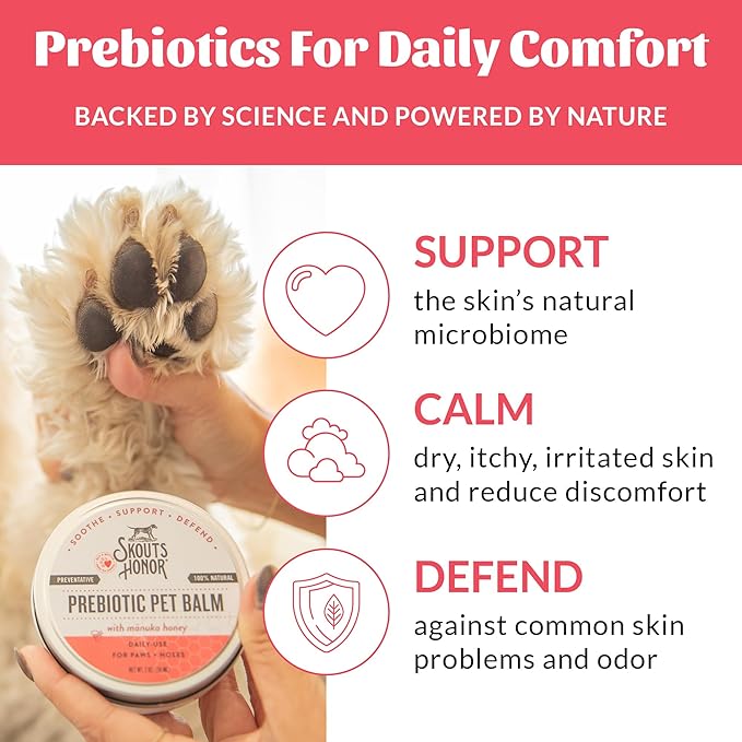 SKOUT'S HONOR Prebiotic Pet Balm - 100% Natural and Made w/Manuka Honey to Promote Healing of Your pet's paw Pads and Nose, Soothes Dry, Itchy Paws and Noses - Safe for Cats and Dogs, 2oz, 3-Pack