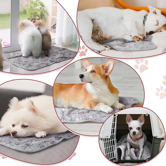 Reginary 4 Pcs Waterproof Guinea Pig Blankets Washable Small Animal Fleece Bedding Guinea Pig Cage Liners Reusable Training Pads Pet Pee Pad Sleep Mat for Hamster(Adorable Paw,24 x 16 Inch)