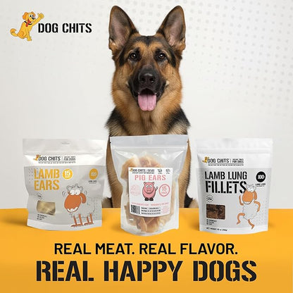 Dog Chits Pig Ears for Dogs – 100% Natural Baked Pig Ear Dog Treats & Training Chews – High Protein, Lower Fat, Grain-Free – Great for Puppies, Dental Support – Medium Size, 15 Pack – Made in USA