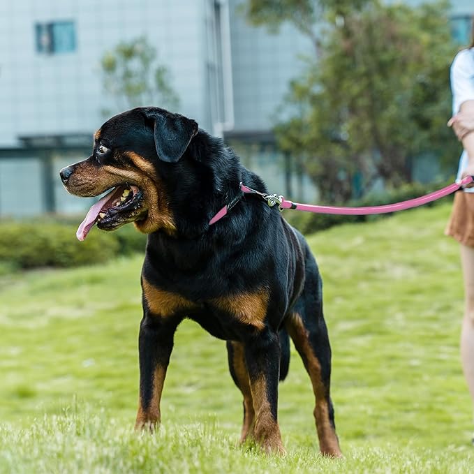 Dog Leash, Braided Rope Traction – Walking Training Lead for Small Dogs ((1/3") x 6FT, Pink)