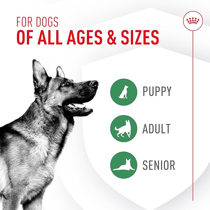 Royal Canin Probiotics for Dogs Digestive and Immune Health Powder Supplement for Dogs of All Ages, 30 Count (Pack of 2)