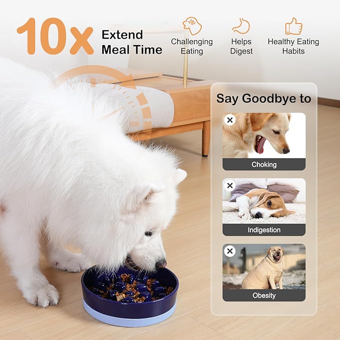 Sted Ceramic Slow Feeder Dog Bowl for Medium Large Breed, Puzzle Dog Food Bowl with Silicone Base, Maze Blue