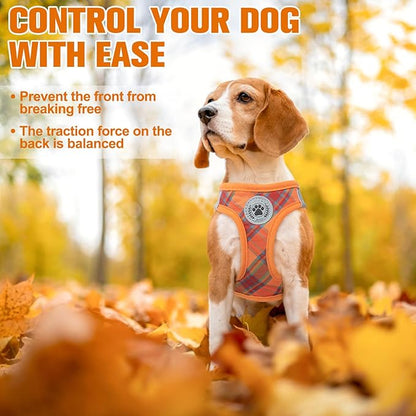 BEAUTYZOO Step in Dog Harness and Leash Set, Reflective Dog Harness No Pull No Choke Puppy Harness for Extra Small Dogs Cats, Soft Padded Mesh Vest Harnesses for Girl and Boy Pets, Orange Plaid XS