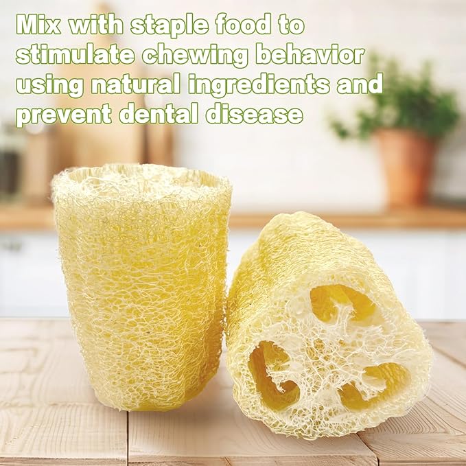 BNOSDM Bunny Chew Toys Natural Loofah 4PCS Bunny Teeth Grinding Toy Rabbit Fiber-Rich Treats Pet Entertainment Accessories for Rabbits Chinchillas Guinea Pig（XL）