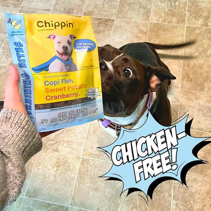 Chippin Fish & Sweet Potato Dog Training Treats (5oz, 1-Pack) | Natural Low-Fat, Low-Calorie Treats | Made in The USA | Grain-Free, Hypoallergenic, Chicken-Free Soft & Chewy Small Dog Treats