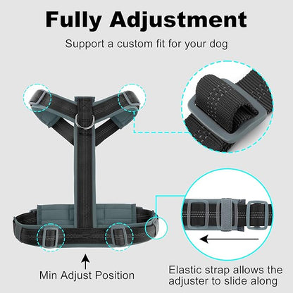 Plutus Pet No Pull Dog Harness, Adjustable Nylon Harness with Soft Padding, Reflective and Heavy Duty Dog Harness for Small, Medium, Large Dogs(Black, M)