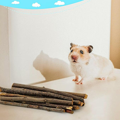 matafat 600g/1.3lb Apple Sticks Chew Toys for Guinea Pigs Rabbit Teeth Grinding Treats Toys for Bunny Chinchillas Hamster Gerbil Parrot Small Animal Pet Supplies