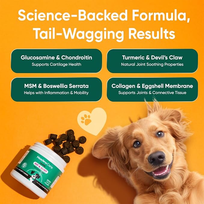 Hip and Joint Supplement for Dogs | MSM, Chondroitin & Glucosamine for Dogs | Supports Bone, Cartilage & Connective Tissue Health | Dog Joint Supplement | 60 Soft Chews180 g (6.35 oz) | MeadowCare