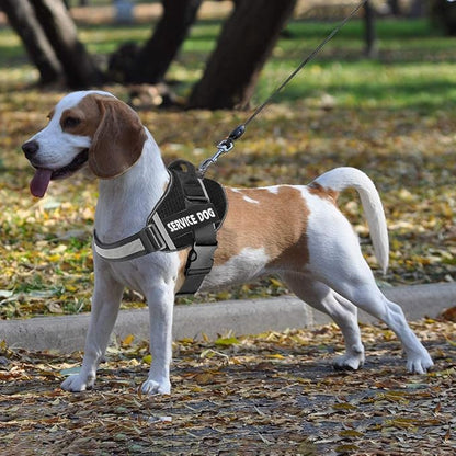 JSXD Dog Harness,No-Pull Service Dog Harness with Handle Adjustable Outdoor Pet Dog Vest 3M Reflective Nylon Material Vest for Breeds,Easy Control for Small Medium Large Dogs (XXL, Black)