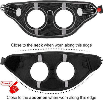 Joytale Small Dog Harness, Breathable Mesh Step-in Vest, Reflective Soft Padded Harnesses for Cats, Puppies and Extra Small Dogs, Black, XXS