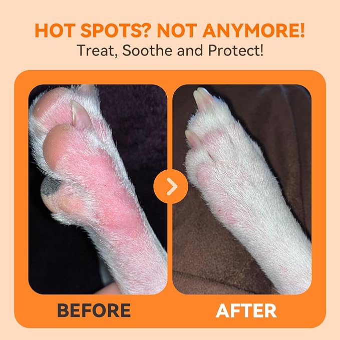 Hot Spot Spray for Dogs, Upgraded Quantum Silver Skin Spray for Dogs, Itch Relief and Hot Spot Treatment for Dogs, Supports Skin Infections and Irritations for All Animals, 8oz