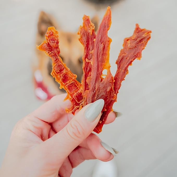 Cadet Gourmet Duck Breast Jerky Dog Treats, Healthy, Long-Lasting High-Protein Training Treats for Small & Large Dogs, 40 oz.