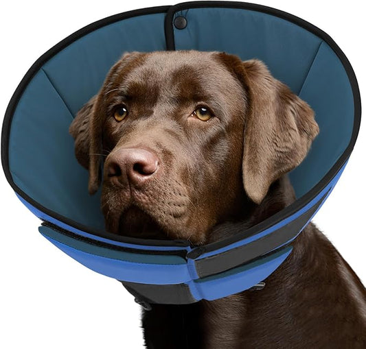 Queenmore Dog Cones for Large Dogs, Soft Dog Cone for Large Breeds, Cone for Dogs After Surgery, Adjustable Elizabethan Collar for Pet to Prevent Licking Wounds, Blue L