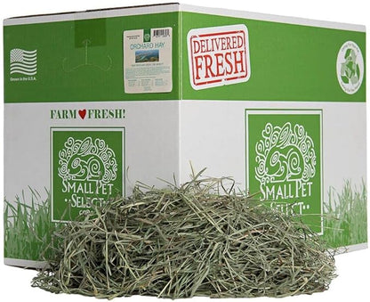 Small Pet Select Orchard Grass Hay Pet Food, 20 Lb.