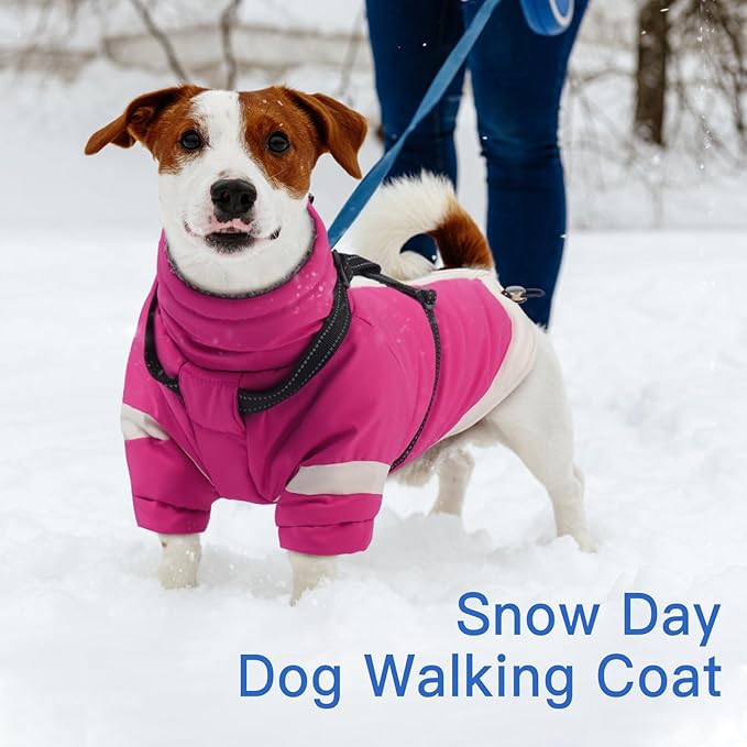 XS Dog Winter Coat with Harness Built in - Turtleneck with Sleeves| Reflective Water-Repellent Jackets for Cold Night,Warm Snow Suit for Snowy Day,Chihuahua (Rosered)